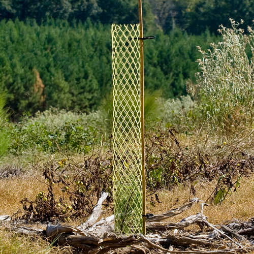 Rigid Seedling Protector Tubes<br /><h5>Allows young seedlings to survive and thrive</h5>