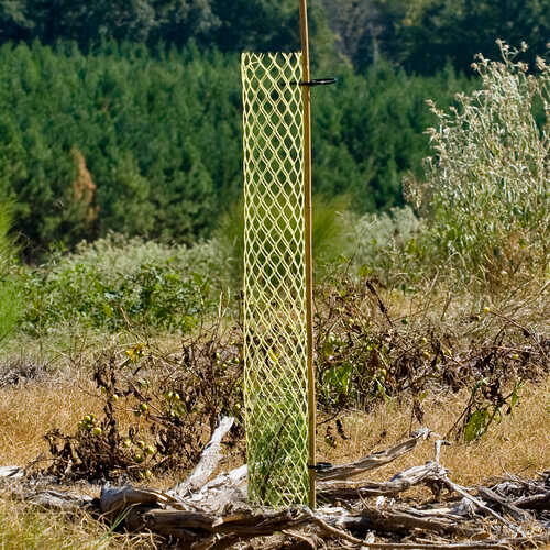 Rigid Seedling Protector Tubes
<br /><h5>Allows young seedlings to survive and thrive</h5>