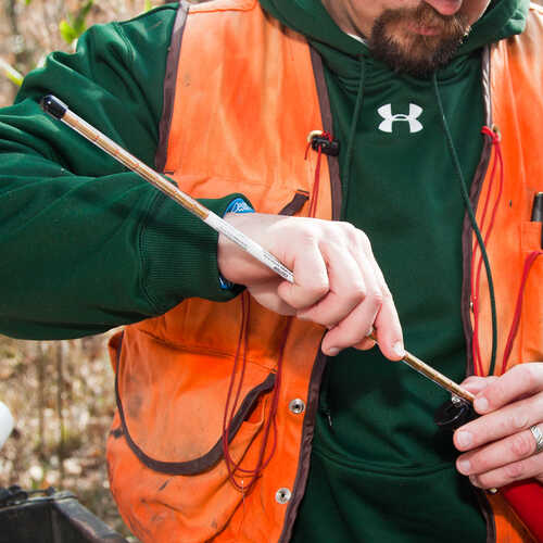 EZ-Ject Lance Capsules, &ldquo;Diamondback&rdquo; (Glyphosate), Red, Box of 1,200