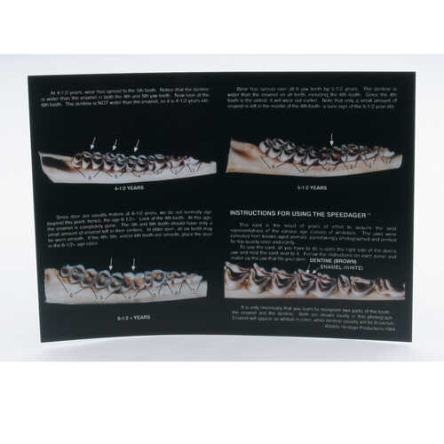 Jawbone Aging Card Only, Pack of 10 Jawbone Aging Card Only, Pack of 10