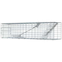 Simple Squirrel Traps