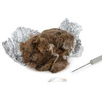Eisco Simulated Owl Pellets