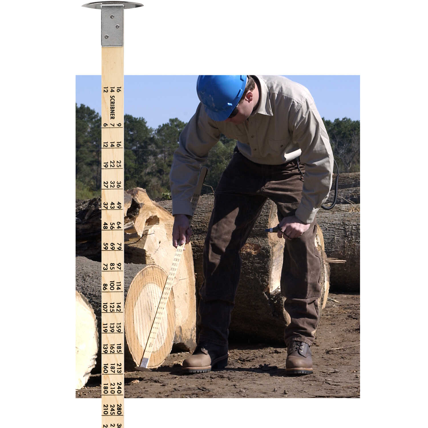 Conway Cleveland Log Rule, Scribner PECO Sales