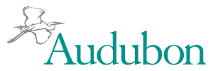 National Audubon Society Logo