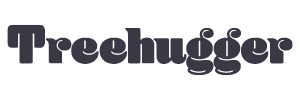 Tree Hugger Logo